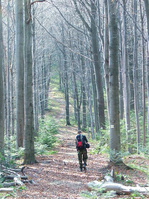 Nie zawsze jest pod górkę, więc głowa do góry:)