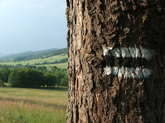 Burza na szlaku